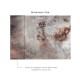 Affreschi & Affreschi | Carpe Diem | CD021